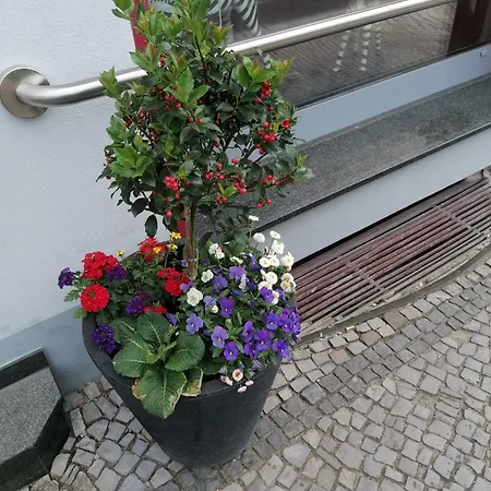 Apartament Zum Bodetal *