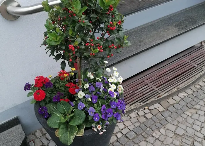 アパート An Der Bode *